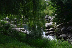 公园风景