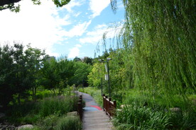 公园风景 