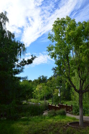 公园风景 