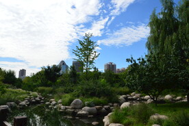 公园风景