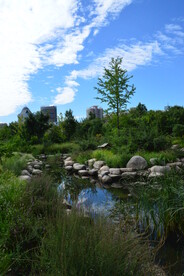 公园风景 