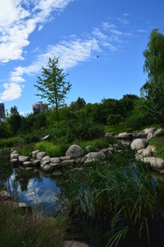 公园风景