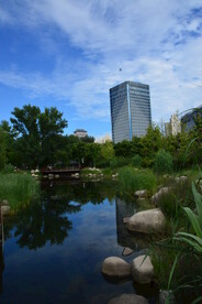 公园风景 