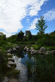 公园风景