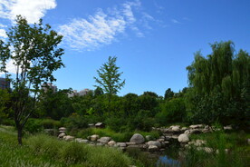 公园风景 
