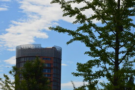 公园风景