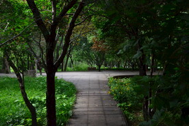 公园风景 