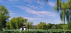 公园风景