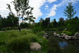 公园风景 