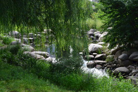 公园风景