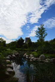 公园风景 
