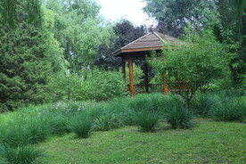 公园风景 