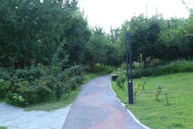公园风景