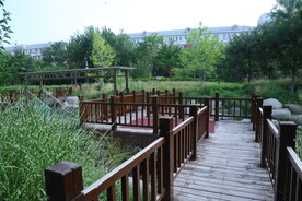 公园风景