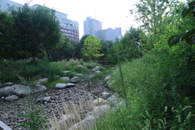 公园风景