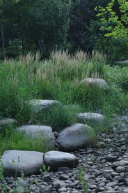 公园风景 