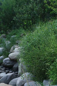 公园风景