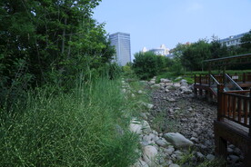 公园风景 