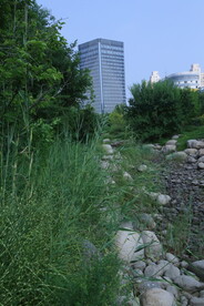 公园风景