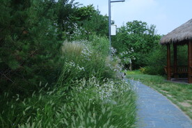 公园风景 