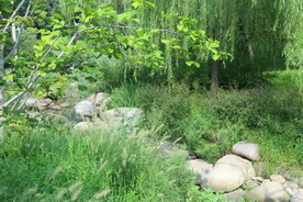 公园风景