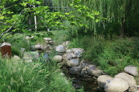 公园风景 