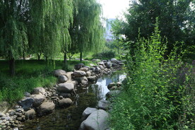公园风景