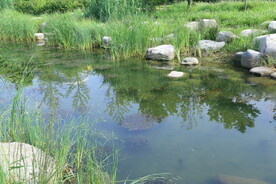 公园风景