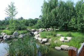 公园风景