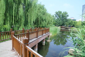 公园风景 