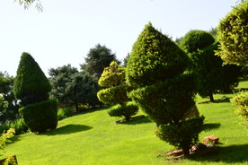 公园风景