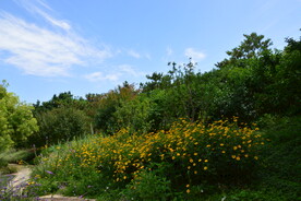 公园风景