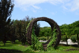 公园风景 