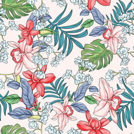 大花 植物 热带植被