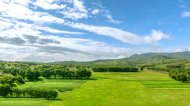内蒙古夏季田野景观