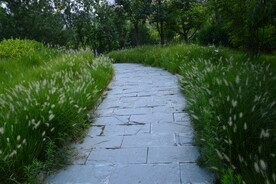 公园风景