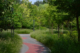 公园风景 