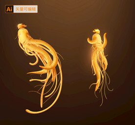人参插画素材