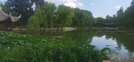 公园风景
