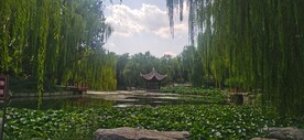 公园风景