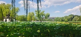 公园风景