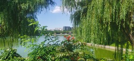 公园风景