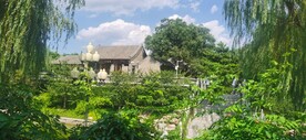 公园风景