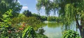 公园风景