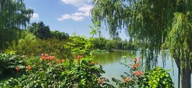 公园风景 