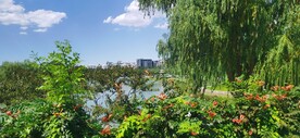 公园风景 