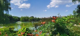 公园风景 