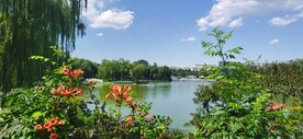 公园风景