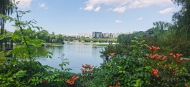 陶然亭风景 