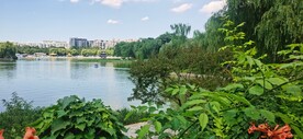 公园风景 